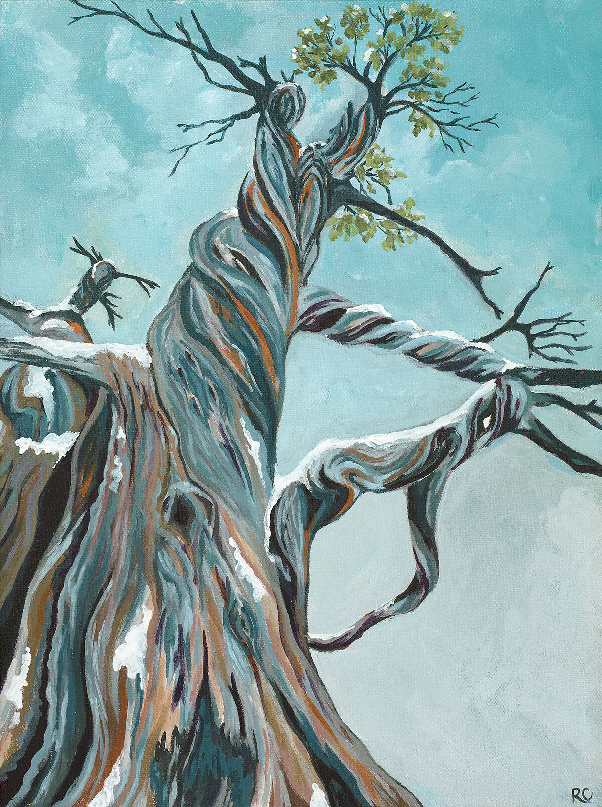 SunRae Creative Blank Cards