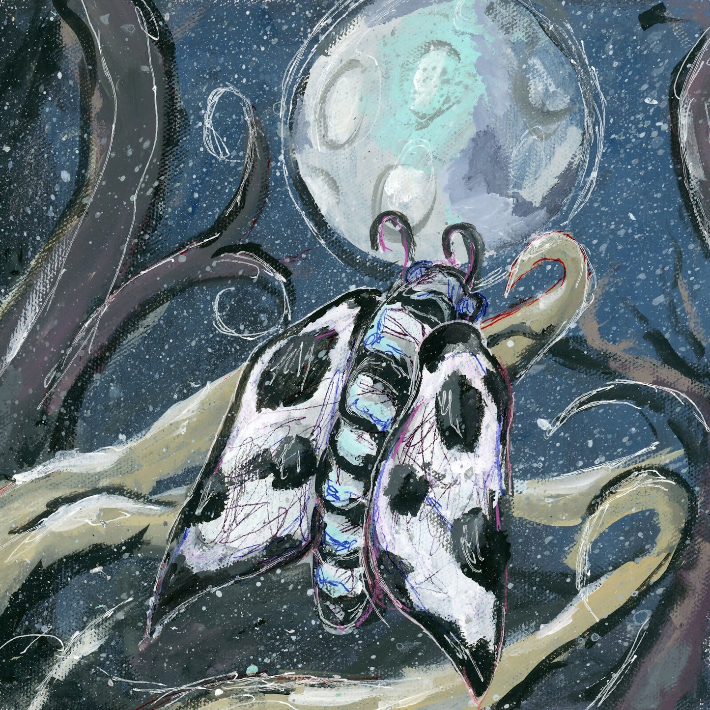 Moth 8x8 prints