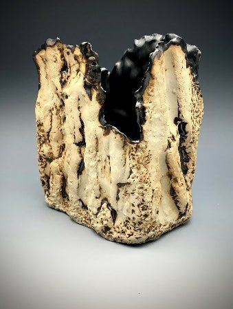 Winter Bark Rectangular Vase I