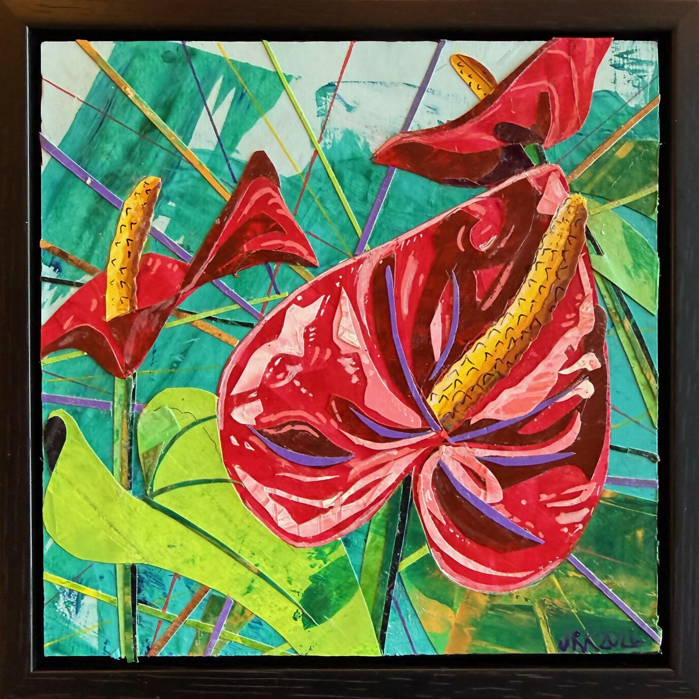 Dancing Anthurium