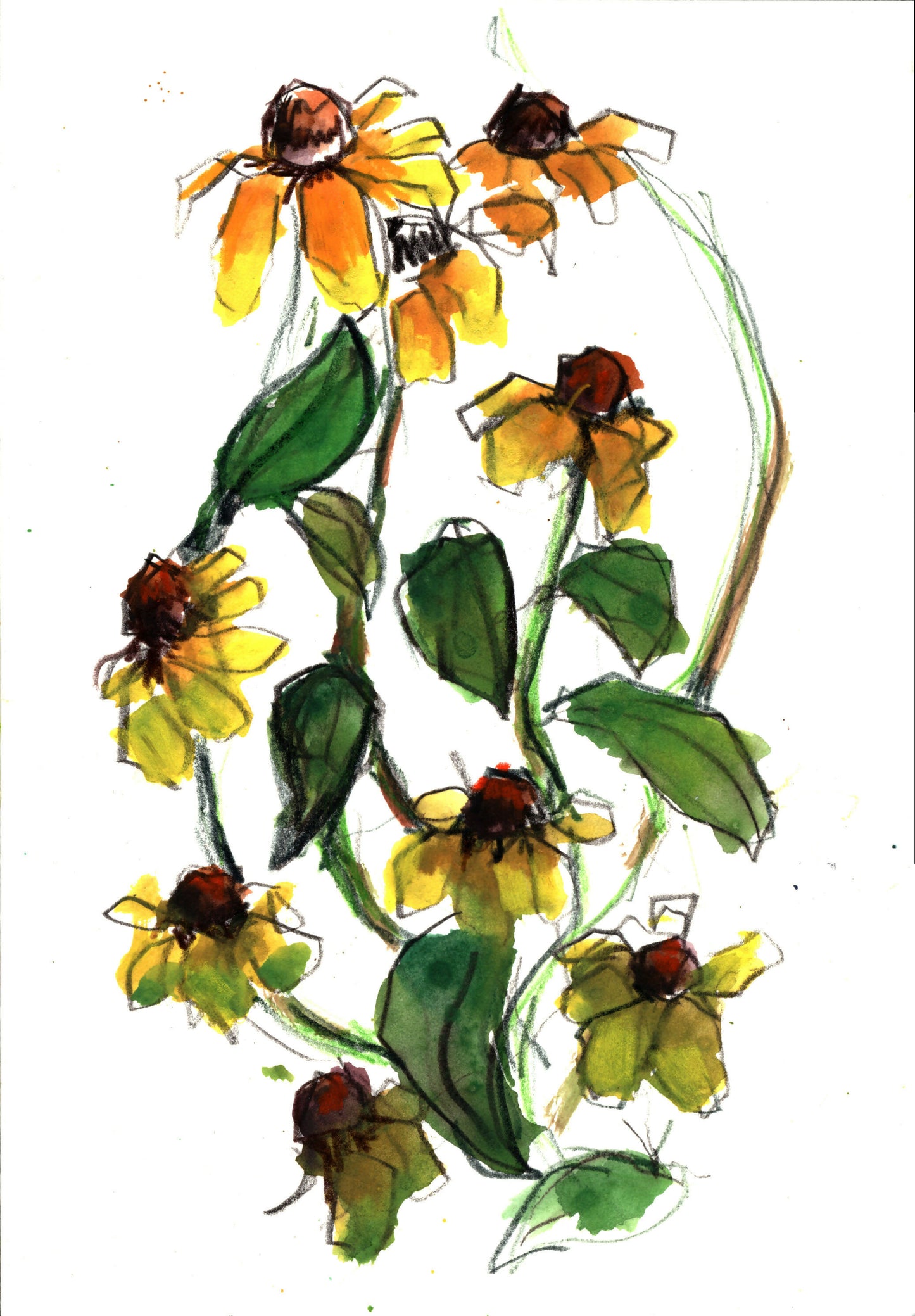 Black Eyed Susans Mixed Media Watercolor