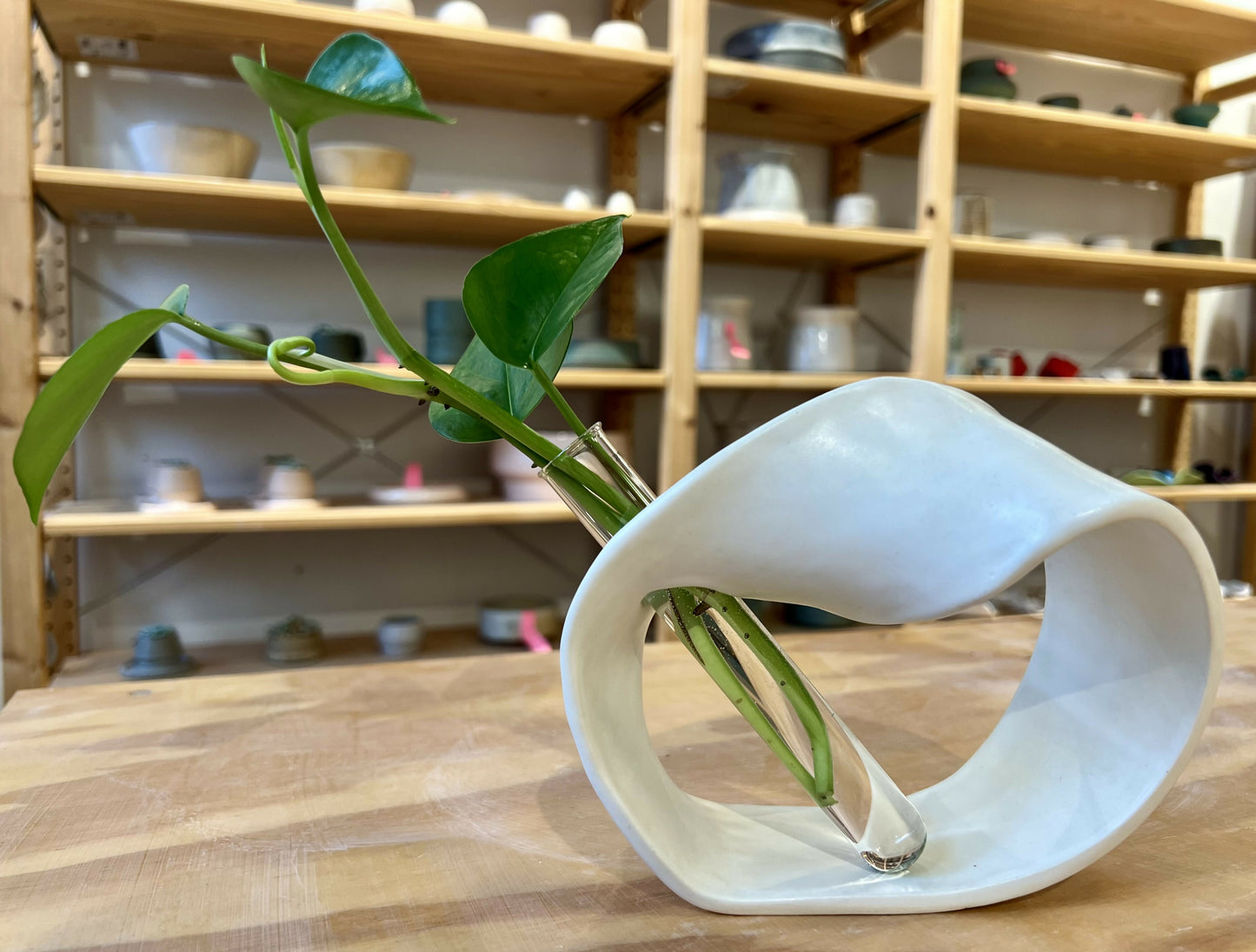 Ceramic plant propagator