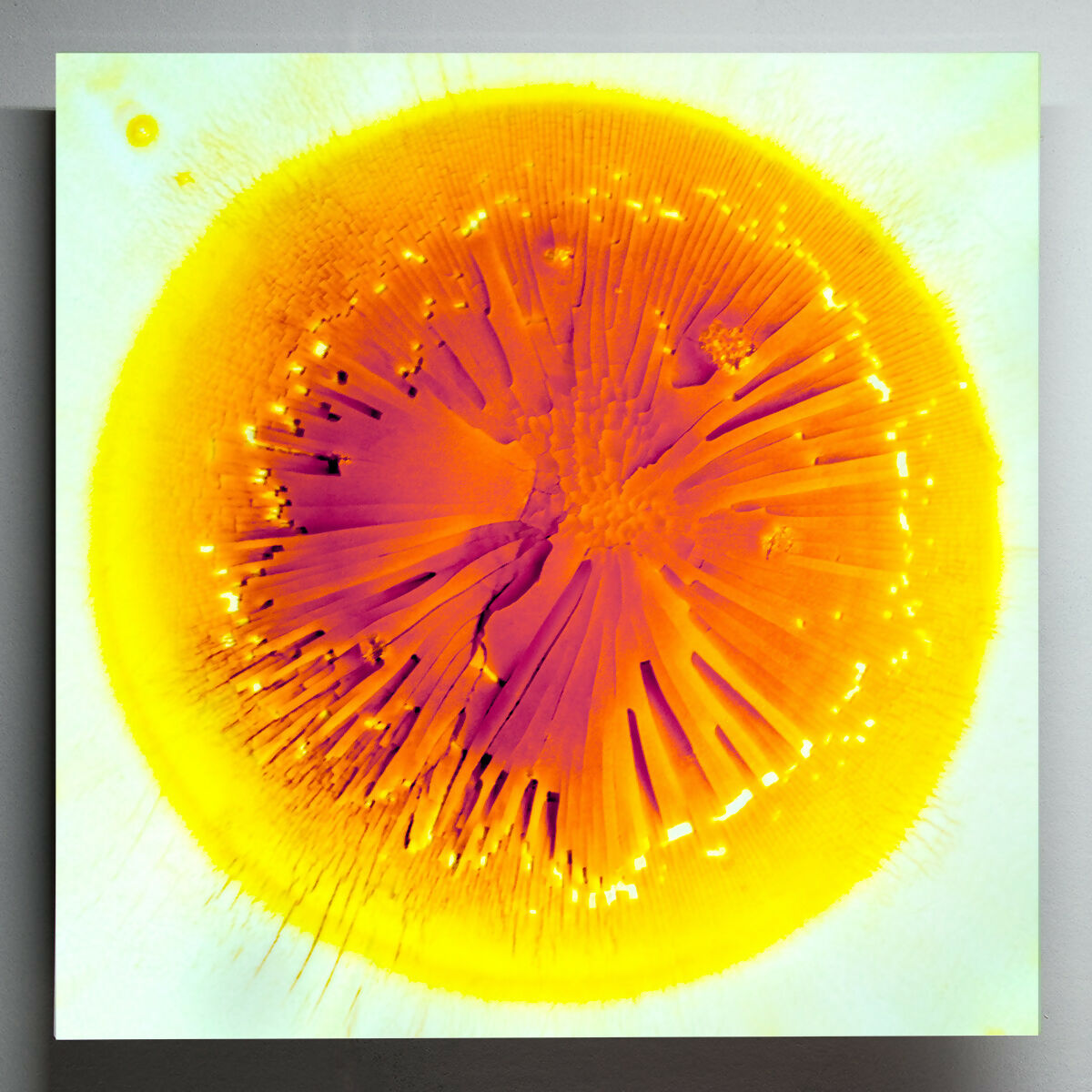 Shattered Sun #2