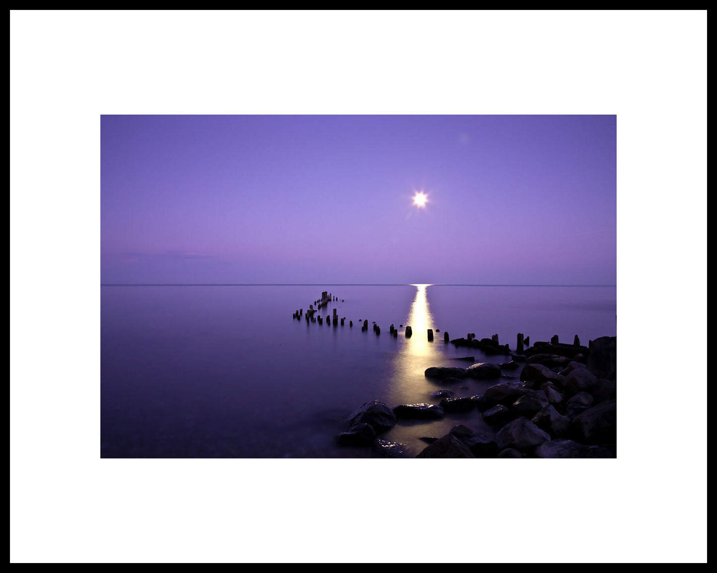 Moonrise in Winter