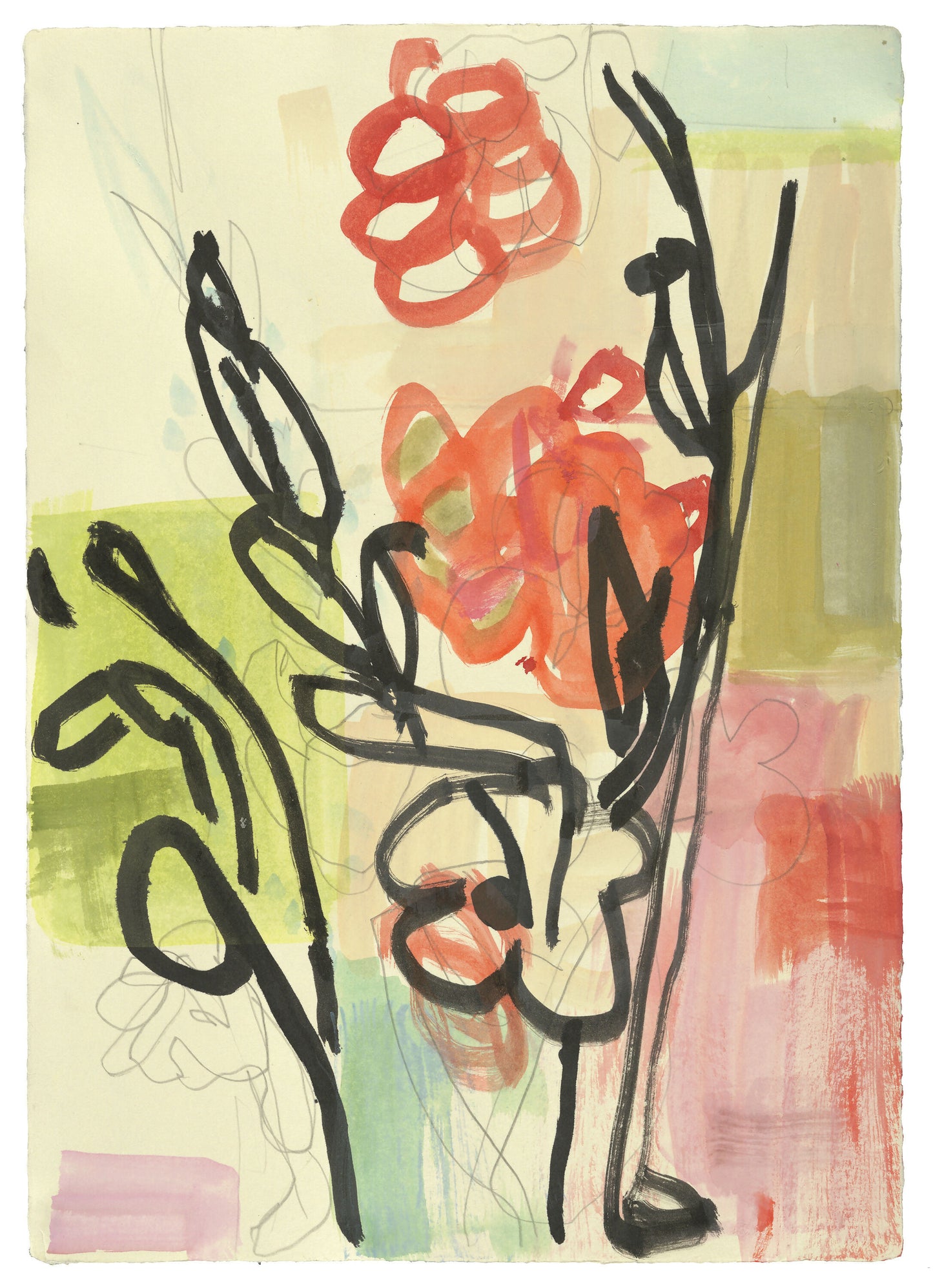 DeborahNewmark_Marzipan_WatercolorPencilOnPaper_12 1:2x18_2023_DCS8713