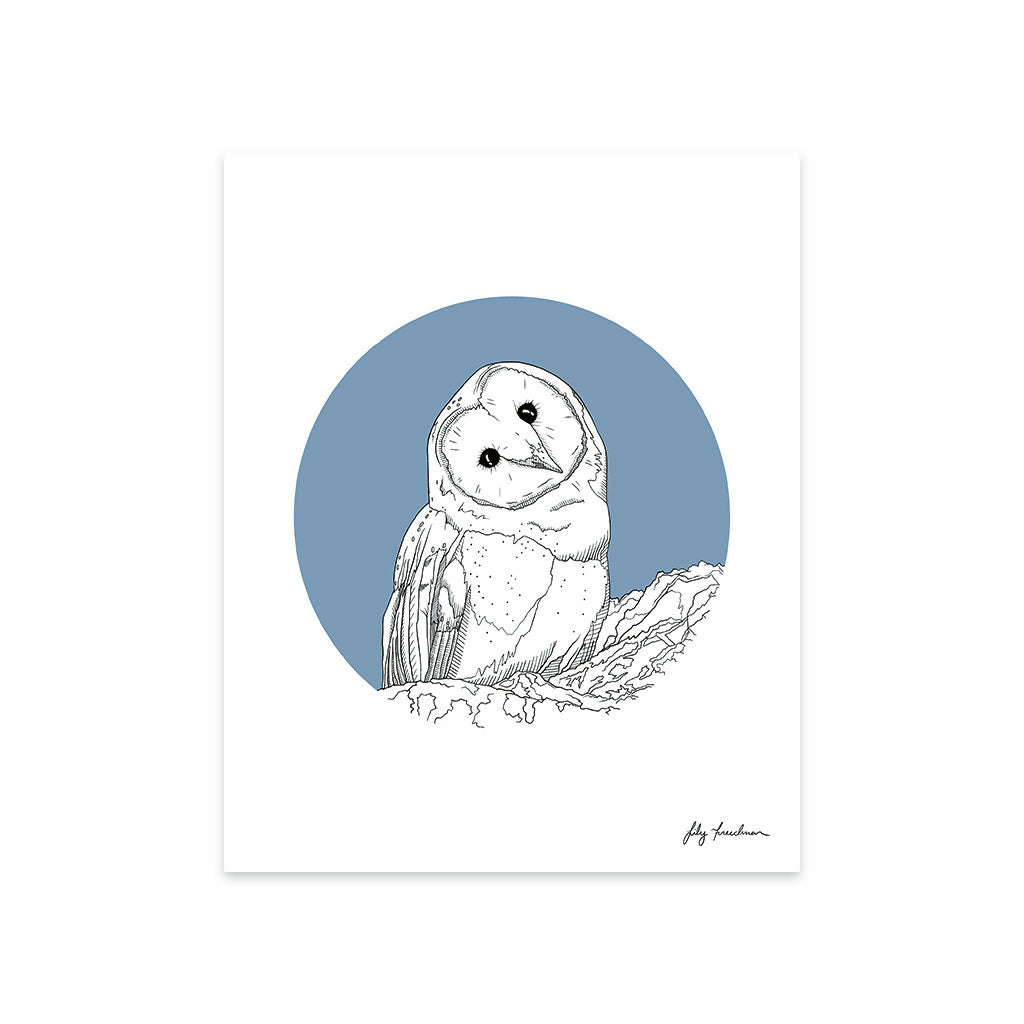 8”x10” Art Print, Owl, Multi Color Options