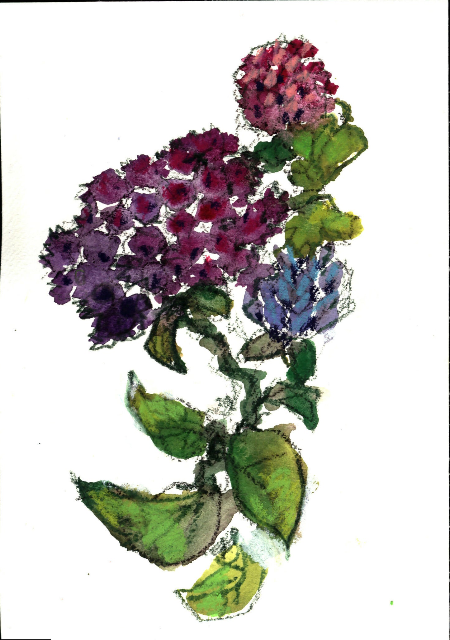 Flowers Mixed Media Watercolor, 5 x 7 unframed