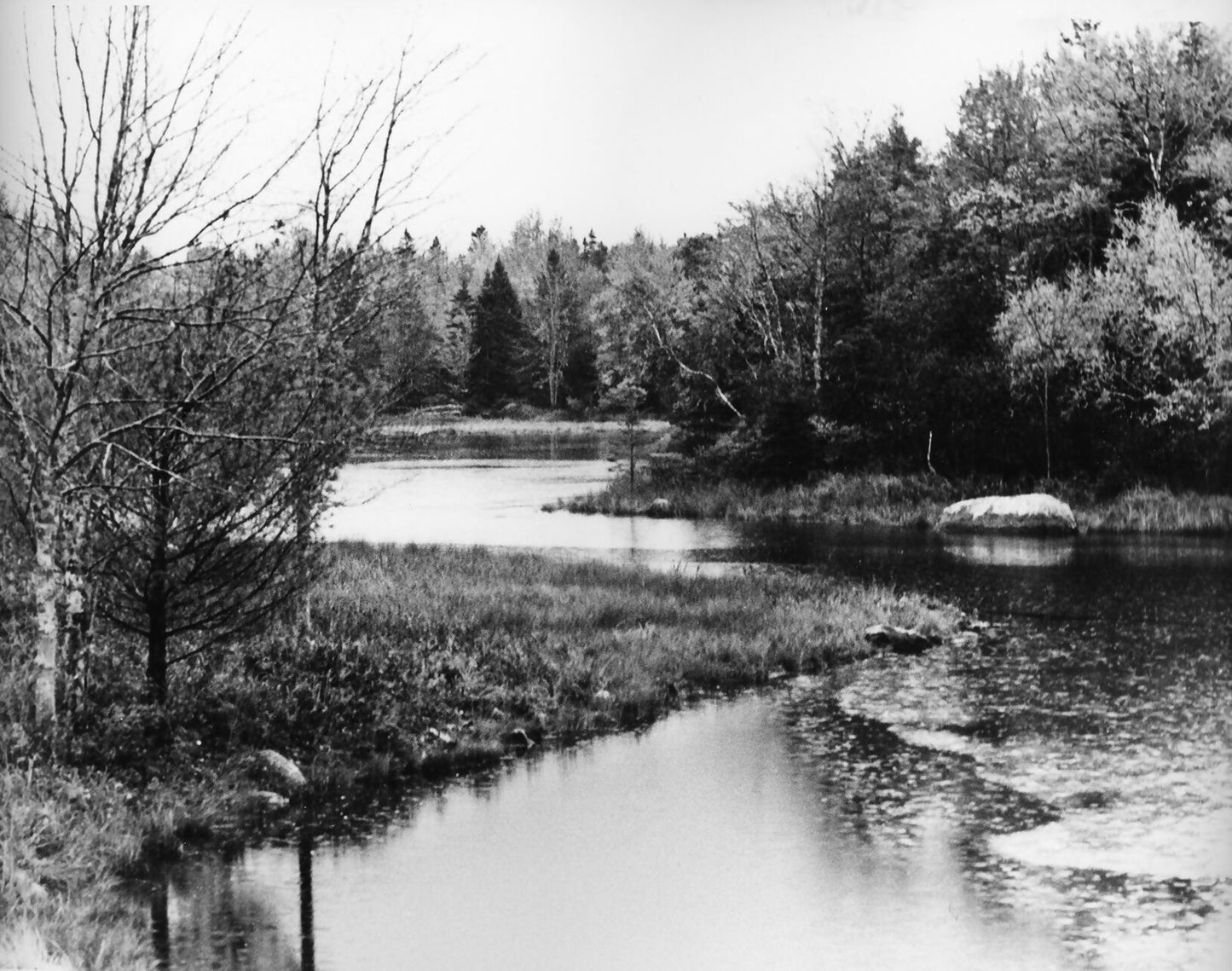 Acadia National Park #3