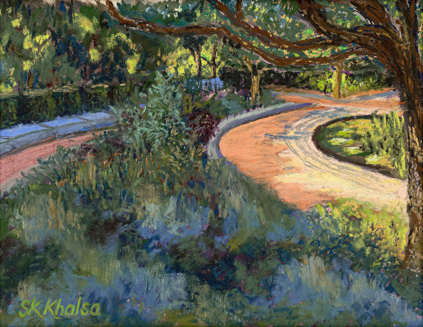 Special Light - Morton Arboretum