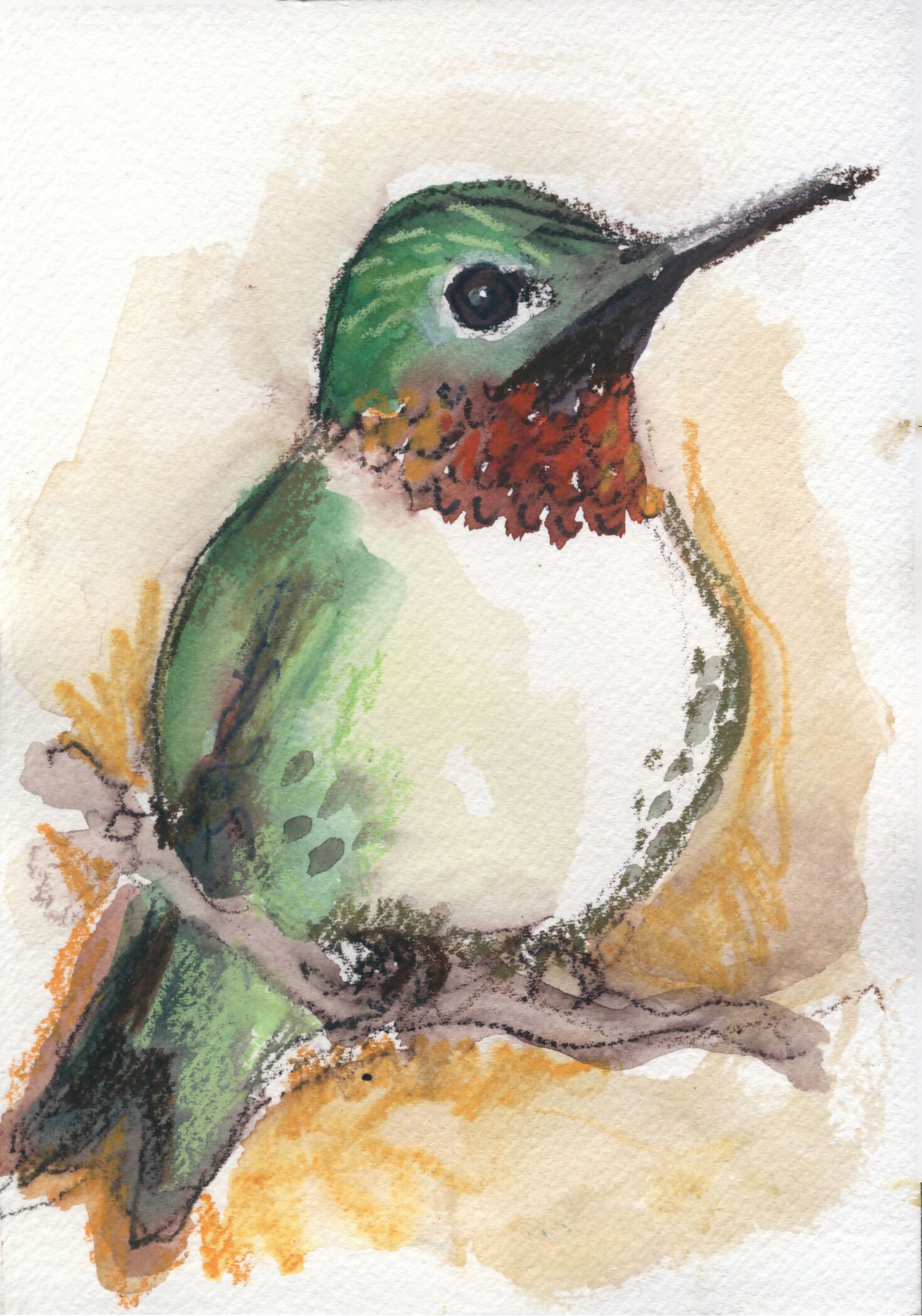 Hummingbird Mixed Media, 5 x7