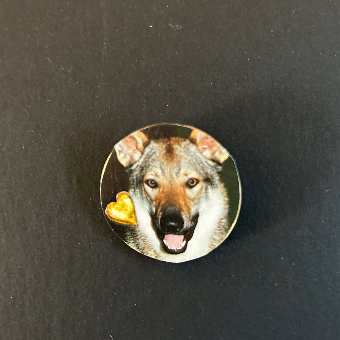 German Shepherd
