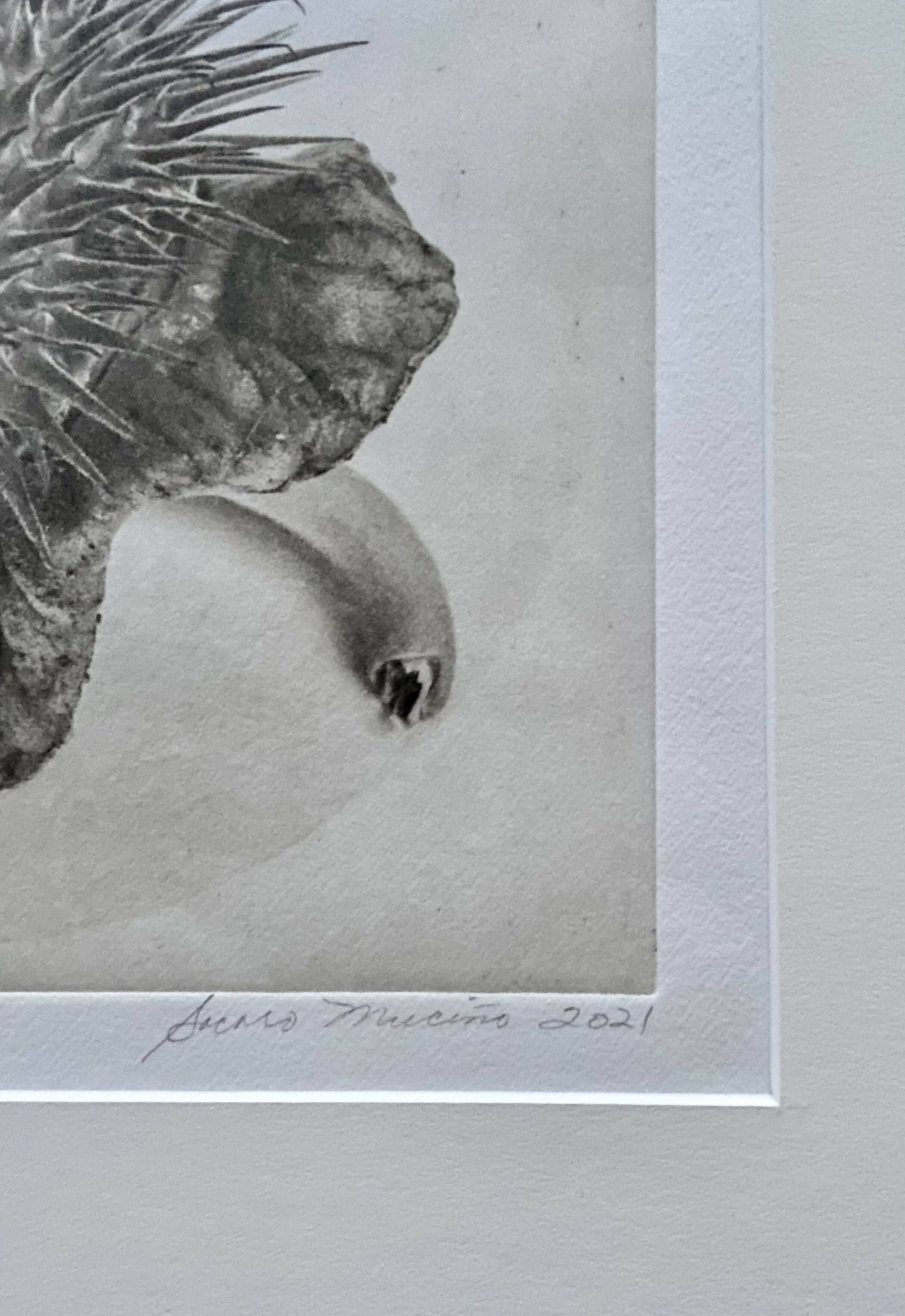 Framed “Jimson Weed I” Photogravure Print.
