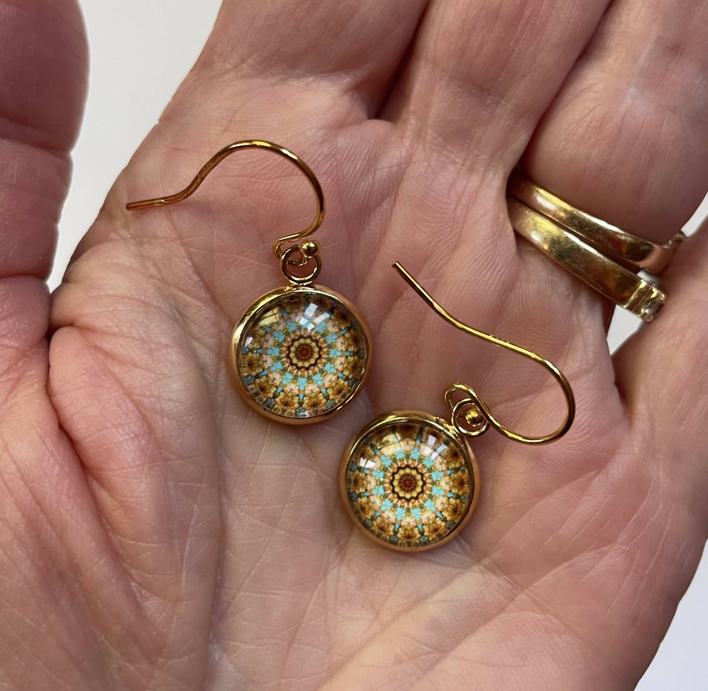 Driehaus Dome French Hook Earrings