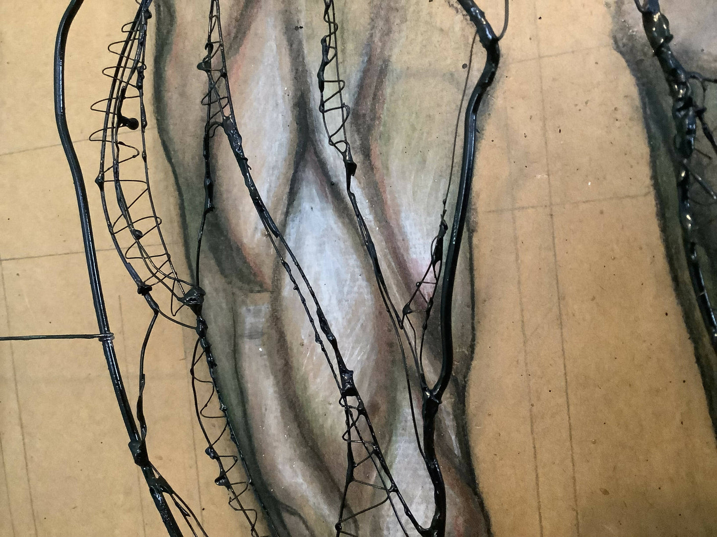 Leg Anatomy