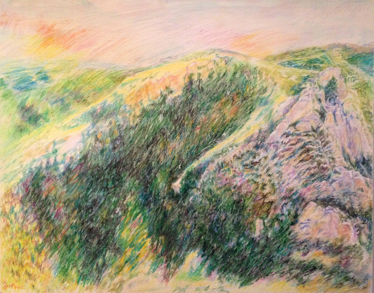 "Tucson Mountain"