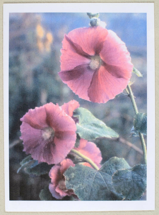 1004