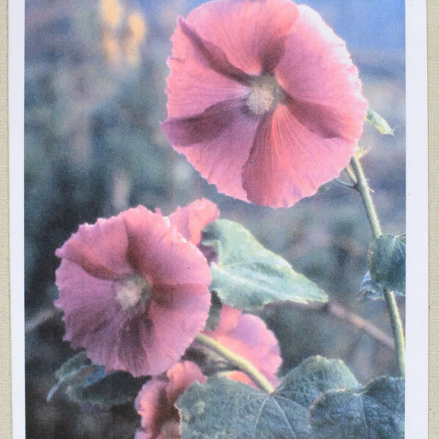 1004