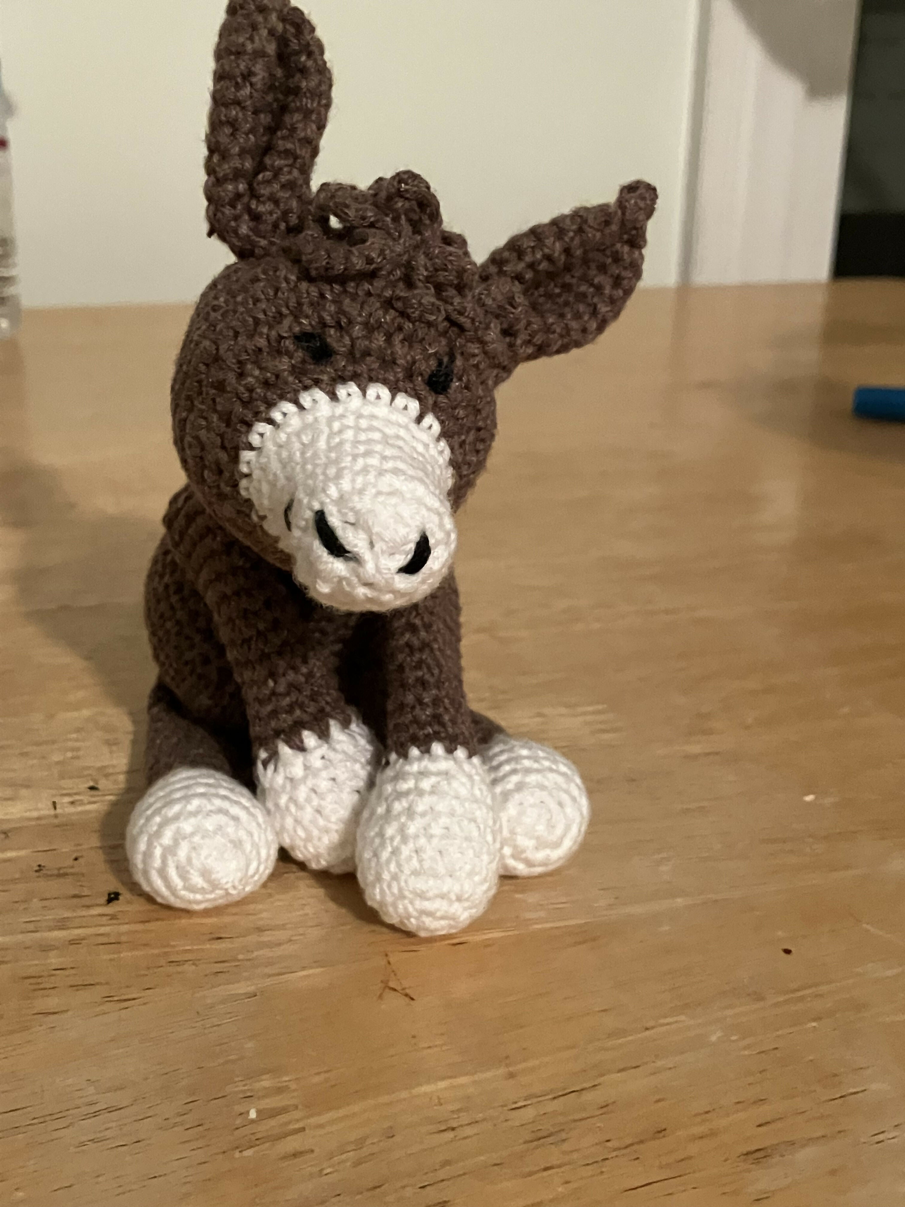 Danny, the donkey