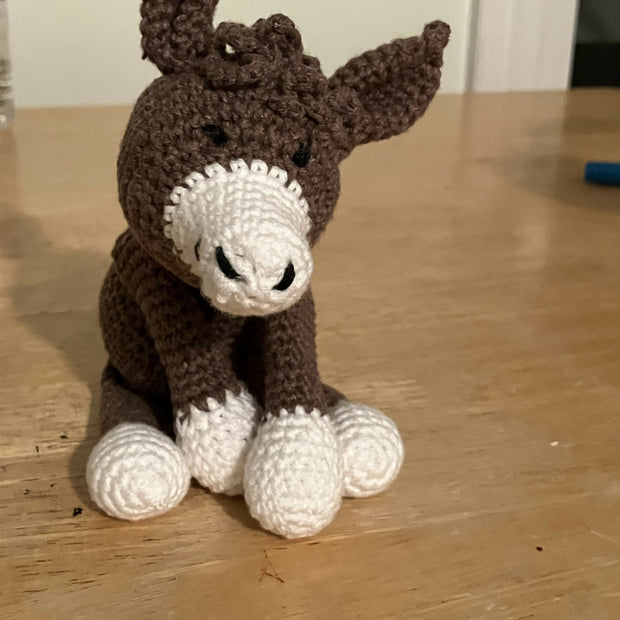 Danny, the donkey