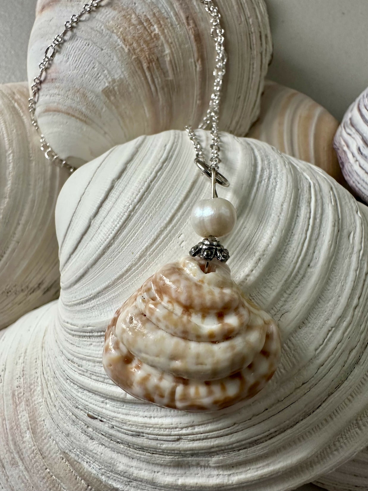 King Venus Shell Pendant Necklace