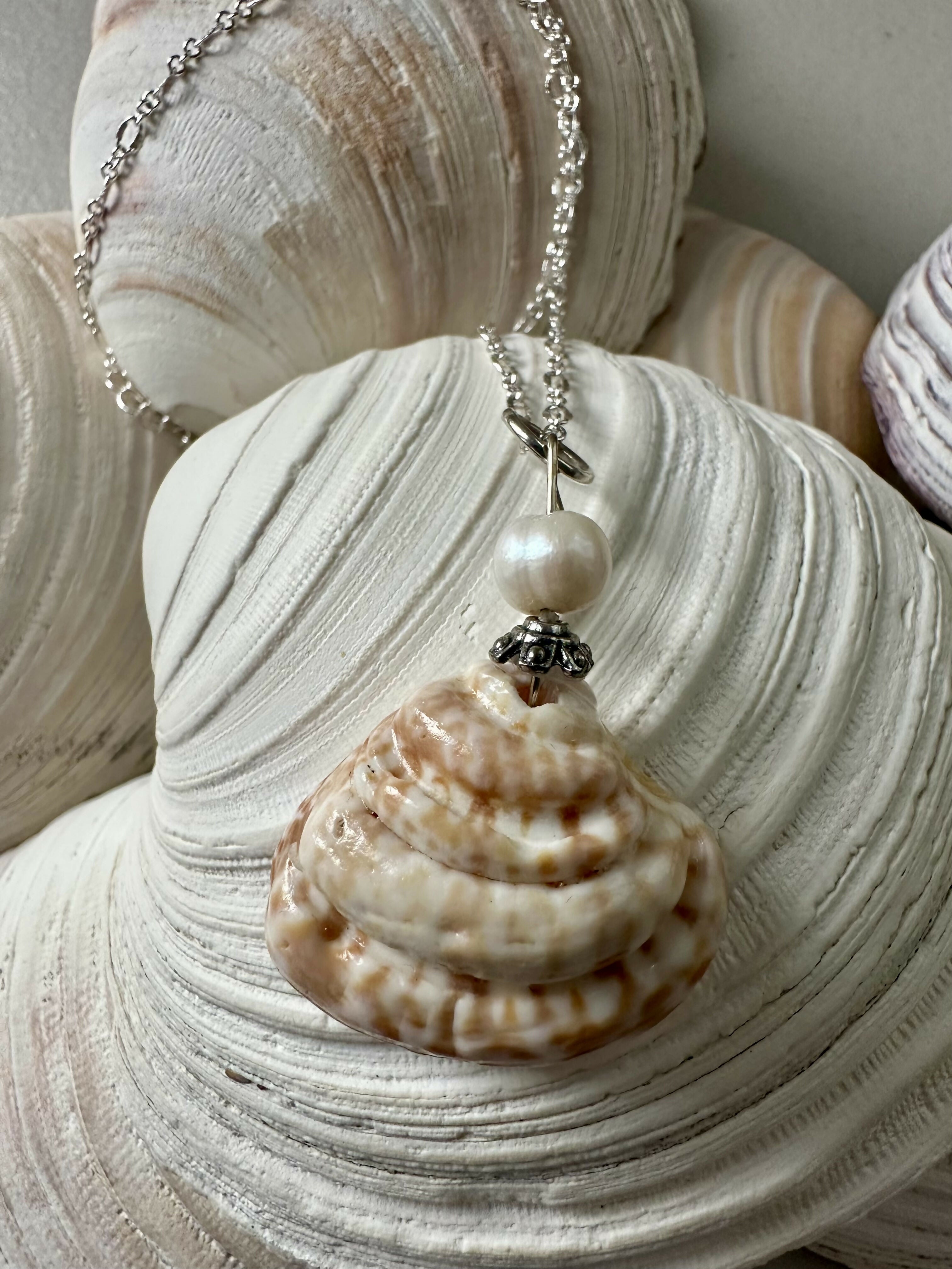 King Venus Shell Pendant Necklace