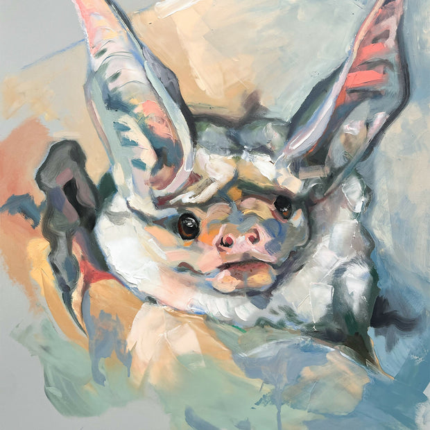 Big Eared Bat