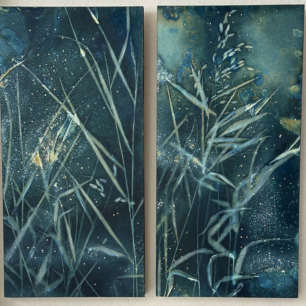 Fireflies