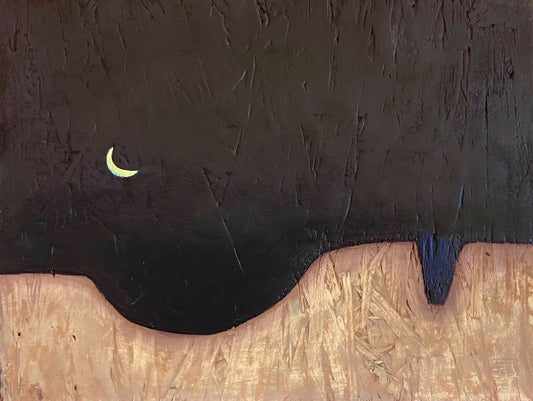 amy o. woodbury's PURPLE NOTCH