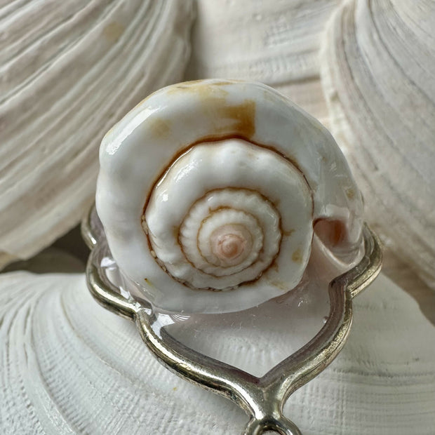 Strawberry Conch Shell Pendant Necklace