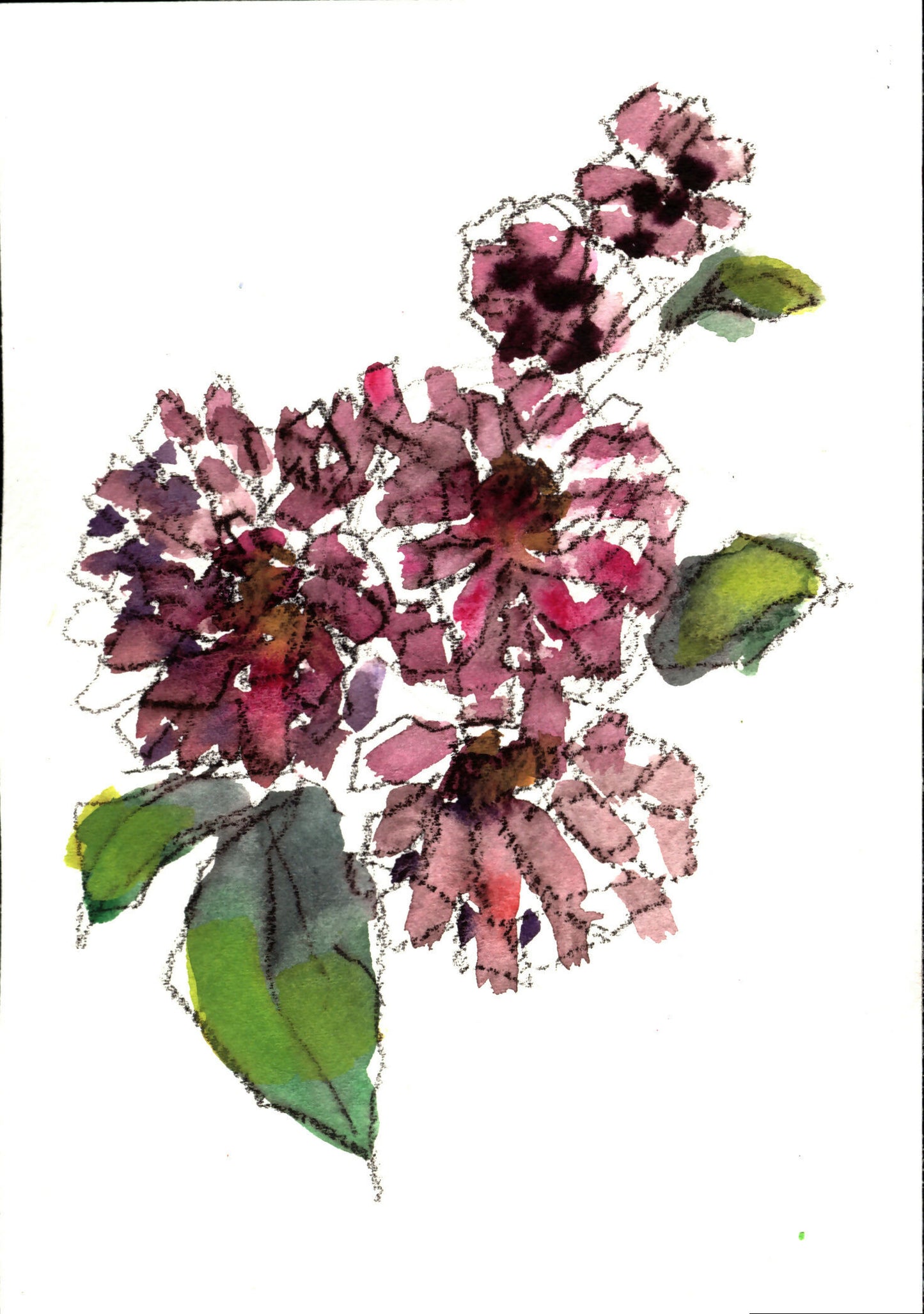 Floral Watercolor, 5 x 7