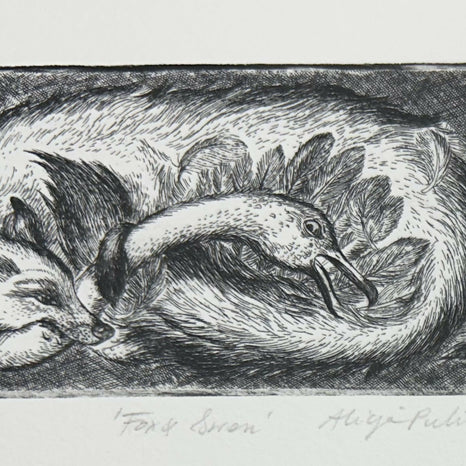 Fox and Swan