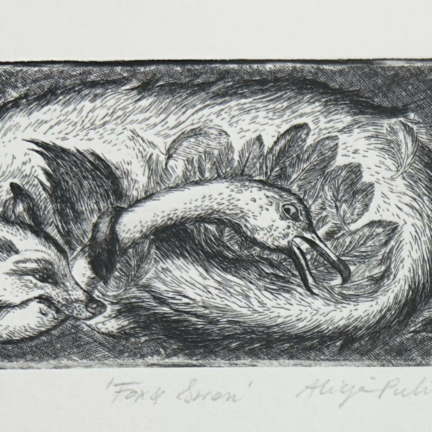 Fox and Swan