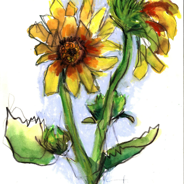 Yellow Flowers, 7 x 10 unframed