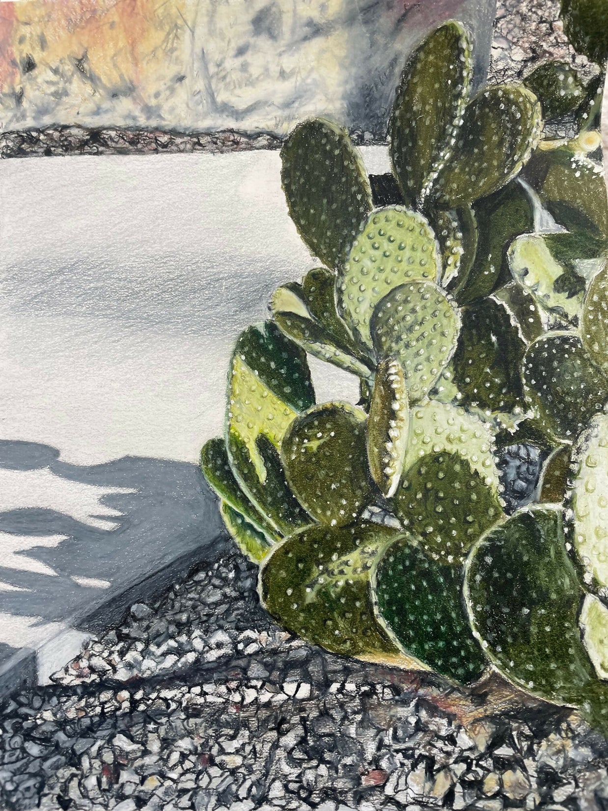 Shadows on the Concrete