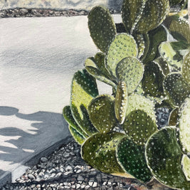 Shadows on the Concrete