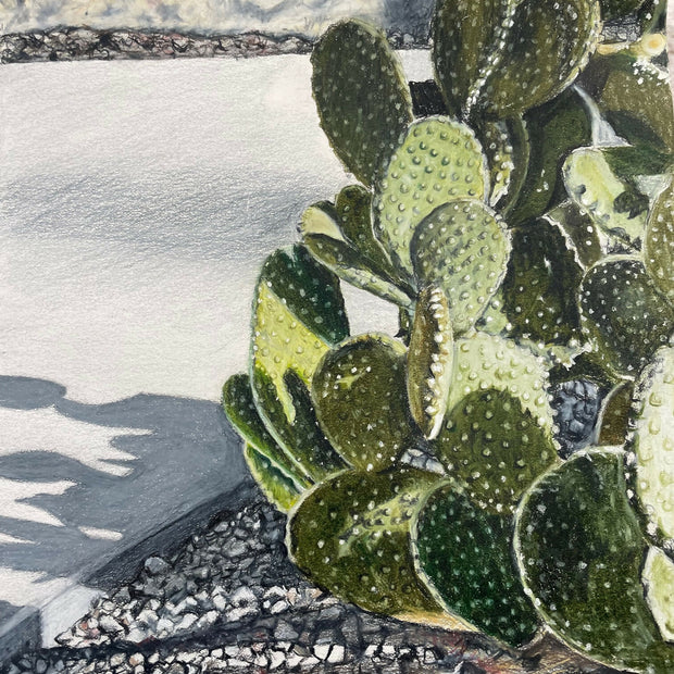 Shadows on the Concrete