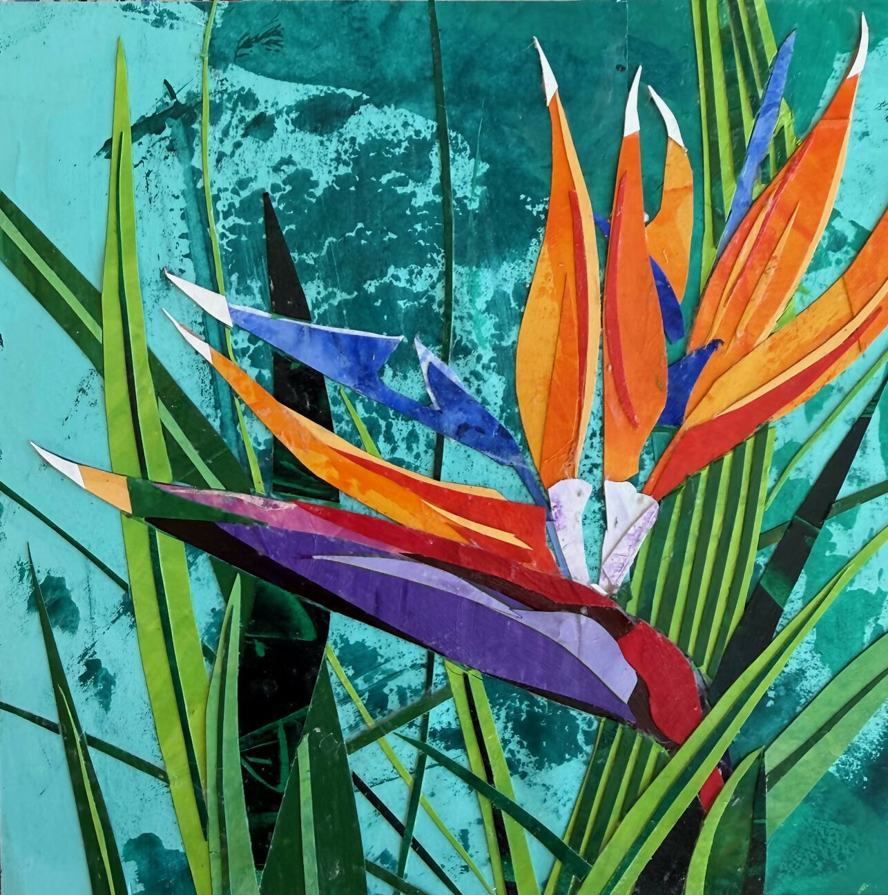 Bird of Paradise 2