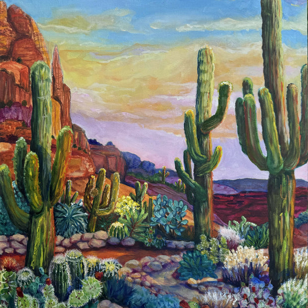 Cactus sightings