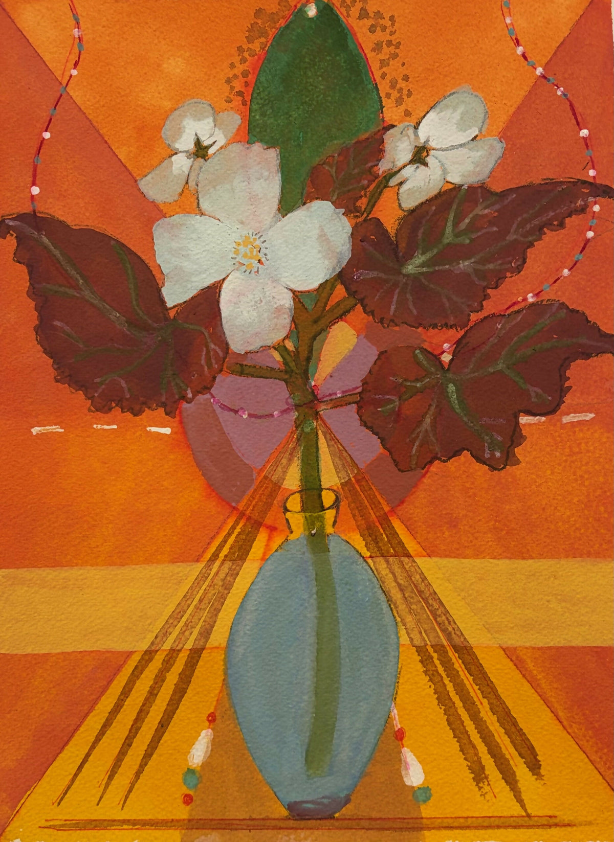 Begonia