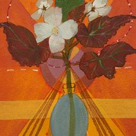 Begonia
