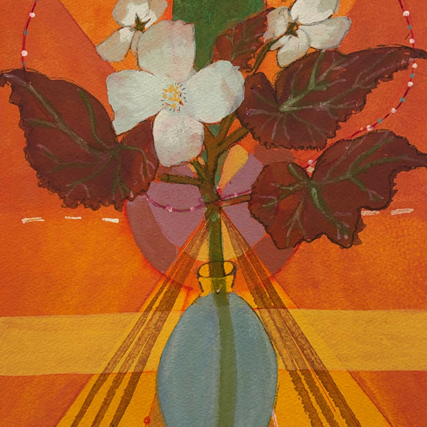 Begonia
