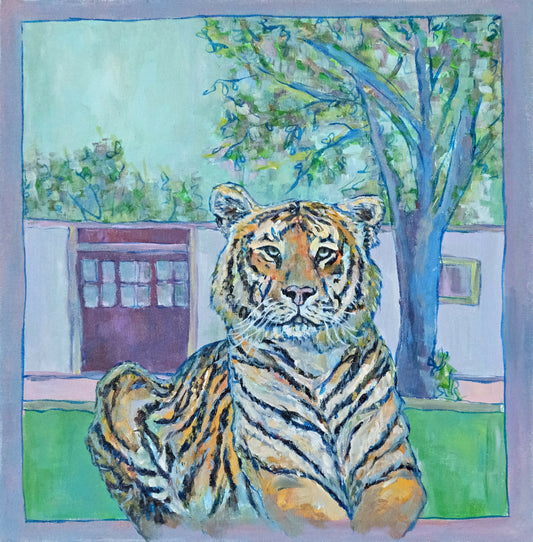 A Tiger in the Neighborhood