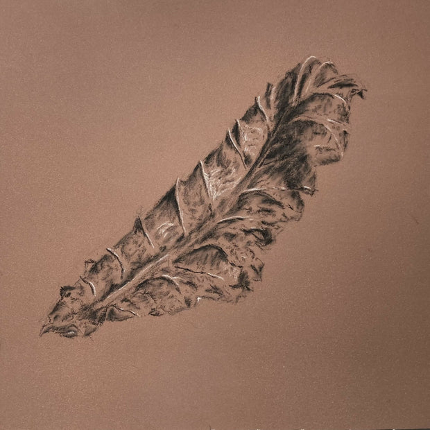 Fallen leaf