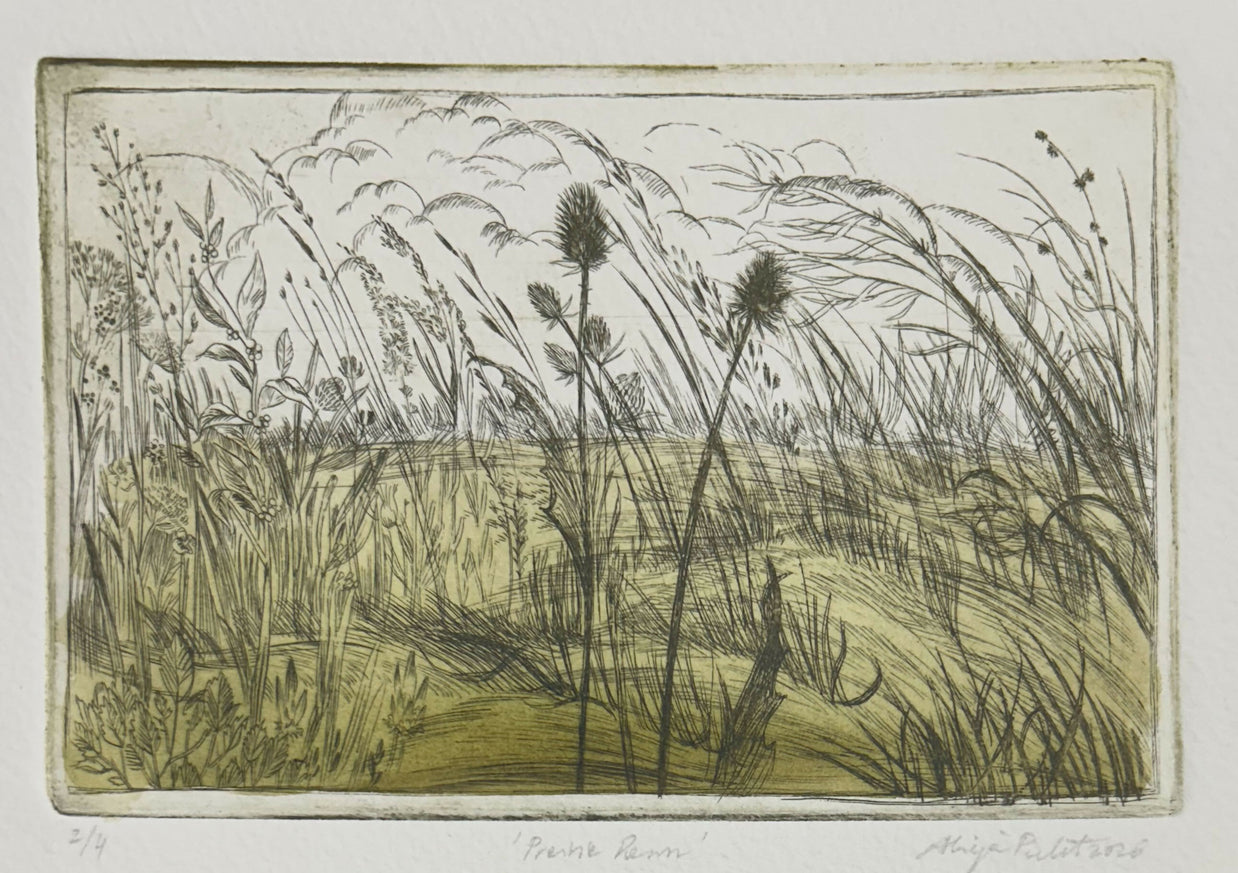 Prairie Dawn