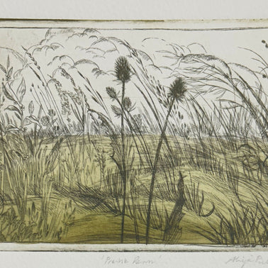 Prairie Dawn