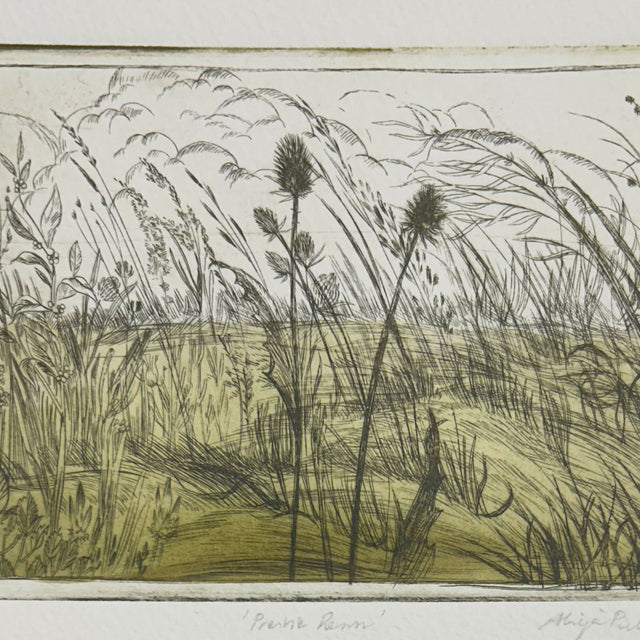 Prairie Dawn