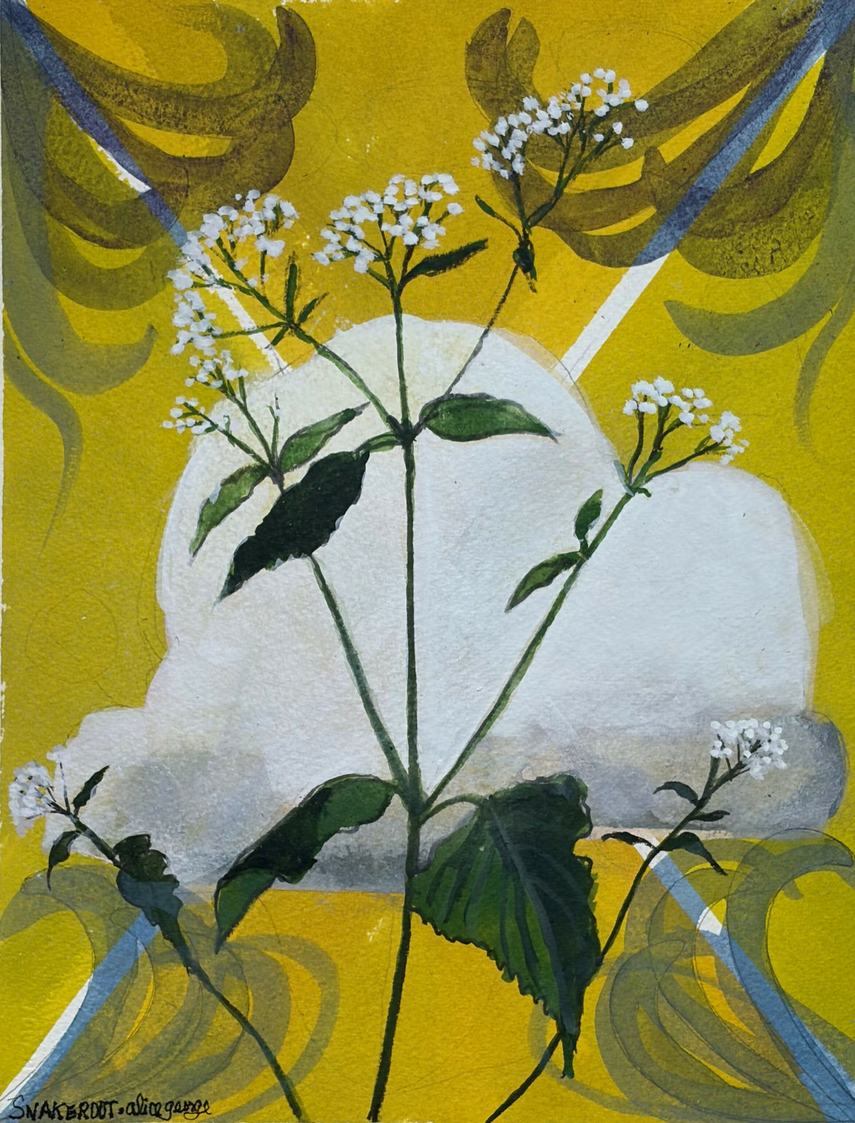 Snakeroot