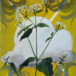 Snakeroot
