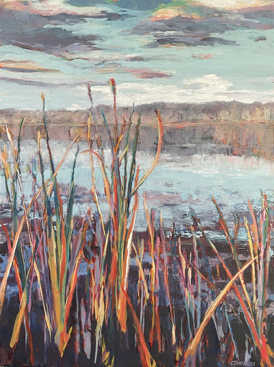 KILLBUCK MARSH