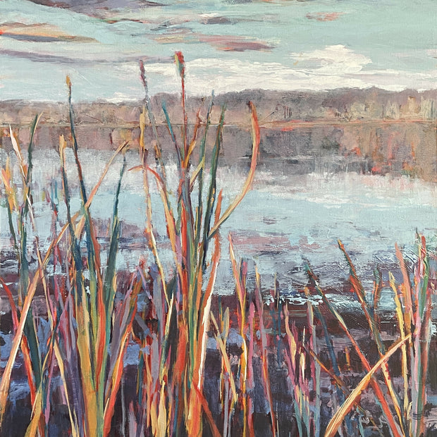 KILLBUCK MARSH